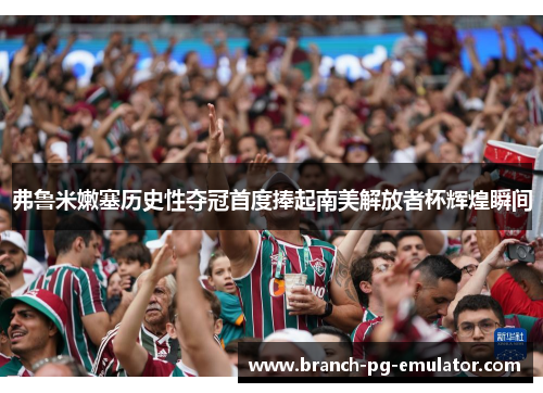 弗鲁米嫩塞历史性夺冠首度捧起南美解放者杯辉煌瞬间